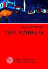 читать Свет Боннара. Эскизы на полях