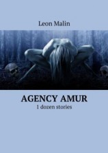 читать Agency Amur. 1 dozen stories