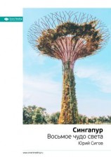 читать Ключевые идеи книги: Сингапур. Восьмое чудо света. Юрий Сигов