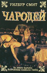 читать Чародей