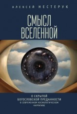 читать Смысл вселенной. О скрытой богословской преданности в современном космологическом нарративе