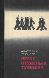 читать Ночная радуга