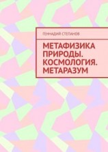 читать Метафизика природы. Космология. Метаразум