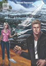 читать Бушующий «Шторм»