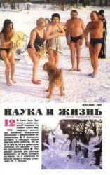 читать Жилица под вуалью