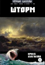 читать Шторм