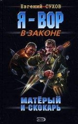 читать Матерый и скокарь