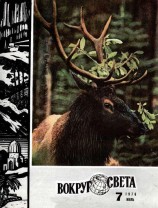 читать Преследование