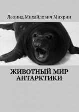 читать Животный мир Антарктики