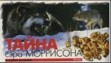 читать Тайна сэра Моррисона
