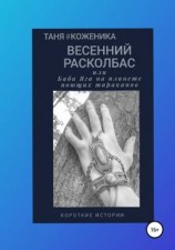 читать Весенний расколбас, или Баба Яга на планете поющих тараканов