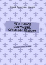 читать Что такое ситуация, средним языком. Часть всей книги о ситуации
