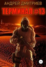 читать Терминал #13