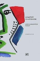 читать Записки потомка