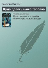 читать Куда делась наша тарелка