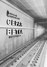 читать Серая ветка