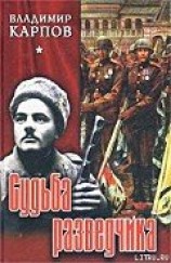 читать Судьба разведчика