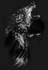 читать История одной любви "Любить волка. Быть волком"