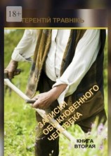 читать Записки обыкновенного человека. Книга вторая