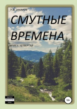 читать Смутные времена. Книга 4