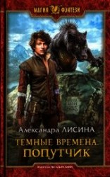 читать Попутчик