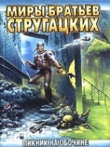 читать Пикник на обочине