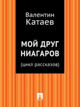 читать Мой друг Ниагаров (цикл рассказов)