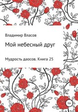 читать Мой небесный друг