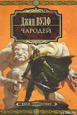 читать Чародей