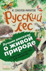 читать Русский лес. С вопросами и ответами для почемучек