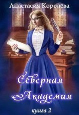 читать Северная Академия. Книга 2