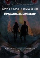 читать Правильный выбор