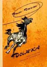 читать Дымка