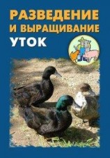 читать Разведение и выращивание уток