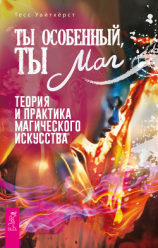 читать Ты особенный, ты маг. Теория и практика магического искусства