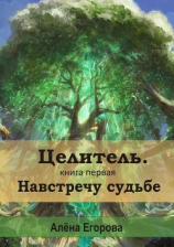 читать Целитель. Навстречу судьбе. Книга первая
