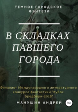 читать В складках павшего города