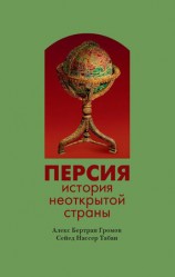 читать Персия. История неоткрытой страны