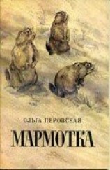 читать Мармотка