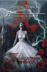 читать Пылающие небеса (ЛП)