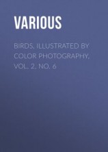 читать Birds, Illustrated by Color Photography, Vol. 2, No. 6