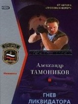 читать Гнев ликвидатора