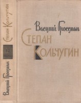 читать Степан Кольчугин. Книга вторая