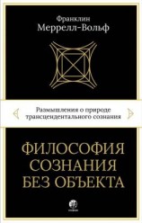 читать Философия сознания без объекта. Размышления о природе трансцендентального сознания
