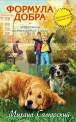 читать Формула добра
