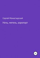 читать Ночь, метель, аэропорт