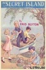 читать The Secret Island