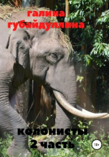 читать Колонисты. Часть 2