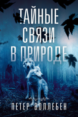 читать Тайные связи в природе