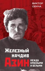 читать Железный начдив Азин. Между красными и белыми